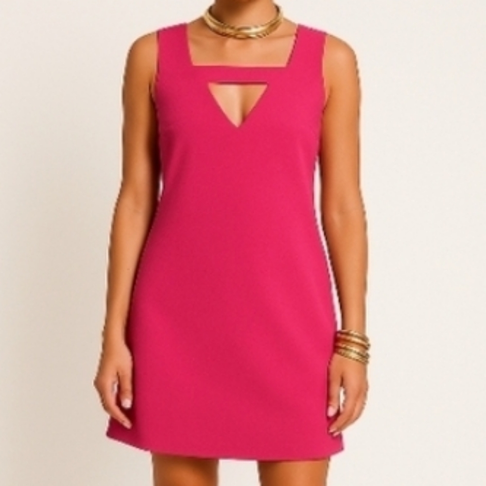 Banana Republic Hot Pink Peek a Boo Sleeveless Pullover Shift Dress 6 - Picture 2 of 9